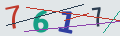 verifycode